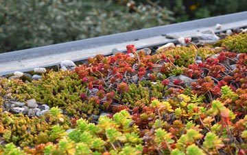 the cost of Heniarth green roof installation