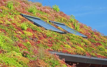 Heniarth living roof systems