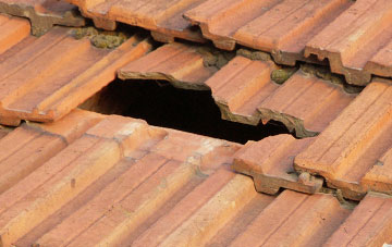 roof repair Heniarth, Powys