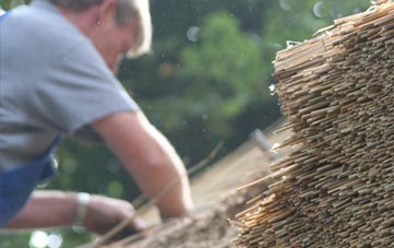 professional Heniarth thatchers